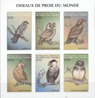 Comores 1999, Animals, Birds, Owl, Bird Of Prey, 6val In BF IMPERFORATED - Comores (1975-...)