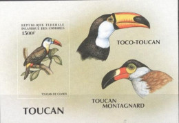 Comores 1999, Animals, Birds, Toucans, BF IMPERFORATED - Comores (1975-...)