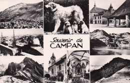 Campan - Souvenir - Chien Des Pyrenees   - CPSM °J - Campan