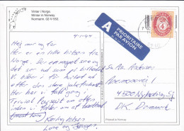 Norway PPC Vinter I Norge Winter In Norway A PRIORIATAIRE PAR AVION Label Normann AURDAL 1994 NYKØBING Sjælland Denmark - Lettres & Documents