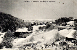 XERTIGNY  En Hiver  -  Vue Prise De La Route De Bruyères - Xertigny