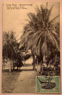 BASANKUSU1917entier Postal Illustré5c BANANA FLEUVE>Netherlands (Congo Belge River Palm Tree Palmier Postal Stationery - Storia Postale