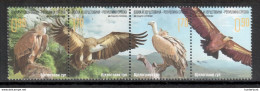 Bosnien Herzegowina Serbische Post / Bosnia Serbian Post 2016 Gänsegeier / Griffon Vulture Gestempelt/used - Bosnia Erzegovina