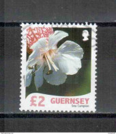 Guernsey 2008 Wild Flora Michel Nr. 1178 O - Guernesey