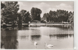 Bad Gandersheim, Osterbergsee Mit Seeterrassen, Niedersachsen - Bad Gandersheim