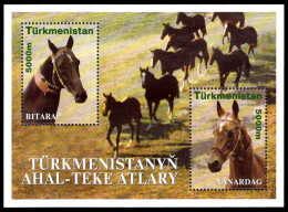 Turkmenistan 2001 Akhal-Teke Horses Souvenir Sheet Unmounted Mint. - Turkmenistán