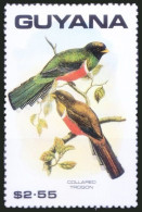 Collared Trogon, Birds, Guyana 1990 MNH - Koekoeken En Toerako's