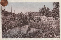 36 - Carte Postale Ancienne De   MONTGIVRAY    L'Indre Et Son Vieux Pont - Otros & Sin Clasificación