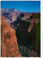 CPSM The Grand Canyon-Timbre      L2293 - Gran Cañon