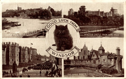 N°106791 -cpa Good Luck From Windsor - Windsor