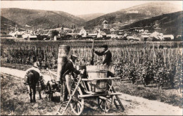 ! [68] Riquewihr, Weinernte In Reichenweiher, Elsass, Wine, Edit. Episkopfreunde Stuttgart - Riquewihr