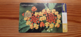 Phonecard Uruguay - Flower - Uruguay