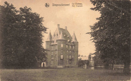 BELGIQUE - Steynockerzeel - Le Château - Lac - Tours - Pins - Carte Postale Ancienne - Sonstige & Ohne Zuordnung