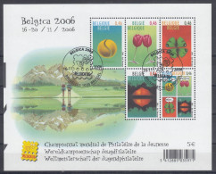 BELGIQUE 2006 Nº HB-114 USADO 1º DIA - Used Stamps