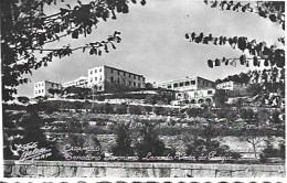 Portugal ** &  Postal, Caramulo, Sanatório Jerónimo Lacerda, Vista Do Parque, Edição Gonçalo Ribeiro Dos Santos (15) - Viseu