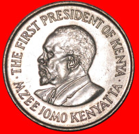 * GREAT BRITAIN (1969-1978): KENYA  1 SHILLING 1978 MINT LUSTRE!·  LOW START · NO RESERVE! - Kenia