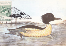 Romania, Roumanie, Rumänien, Rumania,, Carte Maximum 1988 Cygne - MERGUS MERGANSER -  Maximum Card . - Cisnes