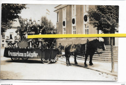 SALZBITTER  FEST 30 JUNI 1929 ZWERG - Salzgitter