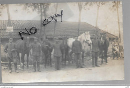 54 BLAMONT SOLDATS ALLEMANDS CHEVAUX HARAS 1914 / 1918 - Blamont