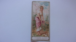 Très Beau Marque-Page.Chromo.Carte Parfumerie Ch. FAY. Femme Art Nouveau.VELOUTINE FAY. PETITS OISEAUX - Autres & Non Classés