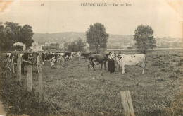 VERNOUILLET Vue Sur Triel - Vernouillet