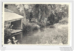 SAINT - MARD ..--  Lavoir Sur Le Ton . Lavoir De L ' HOSPICE !! - Virton