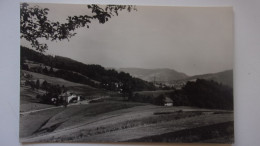 74 HAUTE  SAVOIE  SAXEL LE COL 1950 - Sonstige & Ohne Zuordnung