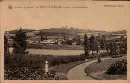 Environ De Tournai  Le Mont De La Trinité Vu De Saint-Aubert - Doornik