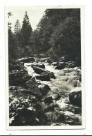 Hollental  Postcard Black Forest Posted 1941 Germany Am Sauerbrunnen  Rp - Höllental