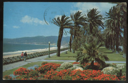 Palisades Park CA Santa Monica 1960s Postcard - Los Angeles