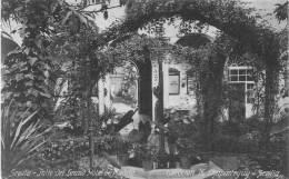 ESPAGNE - Sevilla - Patio Del Grand Hotel De Madrid - Carte Postale Ancienne - Sevilla