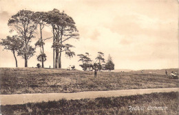 ANGLETERRE - Redhill - Common - Carte Postale Ancienne - Other & Unclassified