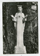 AK 143555 BELGIUM - Beauraing - La Statue De Marbre Sous L'Aubépine - Beauraing