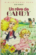 Un Rêve De Candy De Bob Robert - Bibliothèque Rose - 1986 - Illustrations De Jeanne Bazin - Biblioteca Rosa