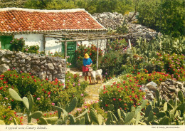 Spain Canary Islands - Sonstige & Ohne Zuordnung