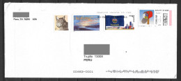 US Cover With Kansas Flag , Mailbox, Oklahoma And Cat Stamp Sent To Peru - Cartas & Documentos