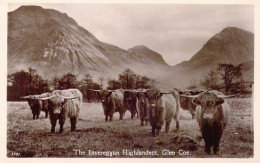 ECOSSE - Glencoe - The Invereggan Highlanders - Carte Postale Ancienne - Andere & Zonder Classificatie