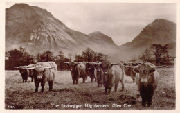 ECOSSE - Glencoe - The Invereggan Highlanders - Carte Postale Ancienne - Autres & Non Classés