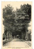 ARDRES AVENUE DU CAMP DU DRAP D'OR ALLEE DES MARRONNIERS 1905 - Ardres