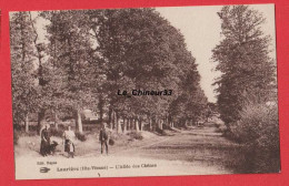 87 - LAURIERE---L'Allée Des Chenes----animé - Lauriere