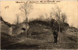 CPA Bray Et Lu Ruines De Baudemont FRANCE (1309362) - Bray-et-Lû