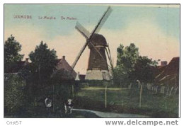 MOULIN - Diksmuide