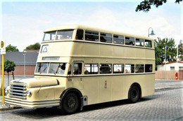 Bussing Double Deck Autobus At Schildow  - 15x10cms PHOTO - Bus & Autocars