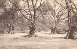 ANGLETERRE - Burnham Beeches - Seven Ways Plain - Carte Postale Ancienne - Andere & Zonder Classificatie