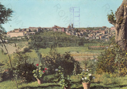 CARTOLINA  URBINO,MARCHE-PANORAMA-STORIA,MEMORIA,CULTURA,RELIGIONE,IMPERO ROMANO,BELLA ITALIA,VIAGGIATA 1963 - Urbino