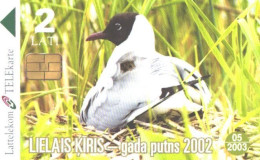 Latvia:Used Phonecard, Lattelekom, 2 Lati, Bird, Gull, 2003 - Latvia