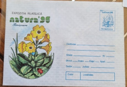 ROUMANIE Fleurs, Fleur, NATURA 96, Coccinelle Entier Postal  1996 Neuf  (2) - Autres