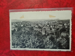 Carte Postale LUXEMBOURG ESCH SUR ALZETTE VUE GENERALE ET SES ROSERIES - Esch-sur-Alzette