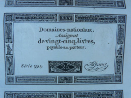 Assignat De 25 Livres - Feuille De 10 Exemplaires 6 Juin 1793 Possibilité De 4 Plaques - Other & Unclassified