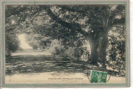 CPA - Environs De SAINT-NICOLAS-de-la-GRAVE (82) MERLES - Thème: ARBRE - Aspect Du Chêne Séculaire En 1906 - Saint Nicolas De La Grave